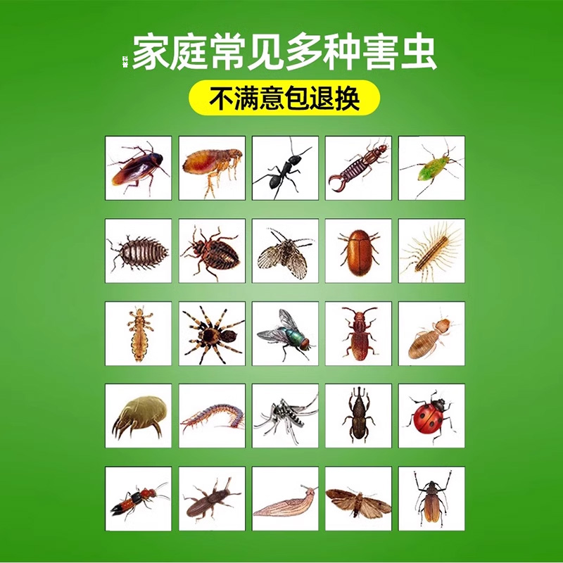 皎洁杀虫剂家用室内整箱批发喷雾剂气雾剂小飞虫蟑螂药灭蚊子苍蝇