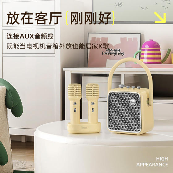Divoom点音显眼包音响家用蓝牙ktv音响话筒一体便携户外双麦克风