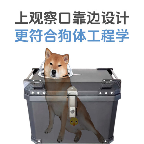暹罗猫蓝猫英短美短加菲猫橘猫田园猫土猫布偶狸花猫电动车后备箱 - 图0
