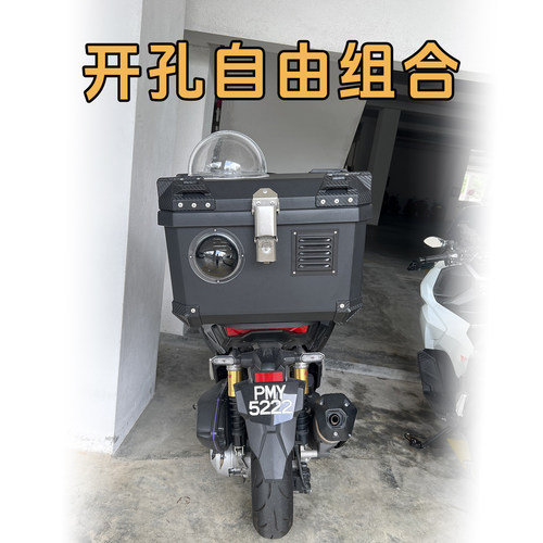 暹罗猫蓝猫英短美短加菲猫橘猫田园猫土猫布偶狸花猫电动车后备箱 - 图2