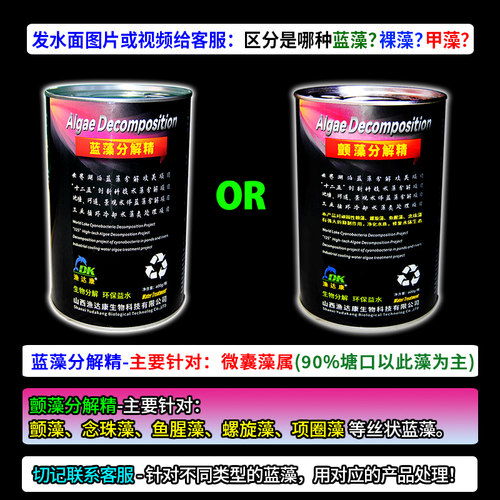 蓝藻分解精蓝藻净分解酶素水产养殖鱼塘除绿藻蓝藻速灭鱼池除藻剂 - 图2