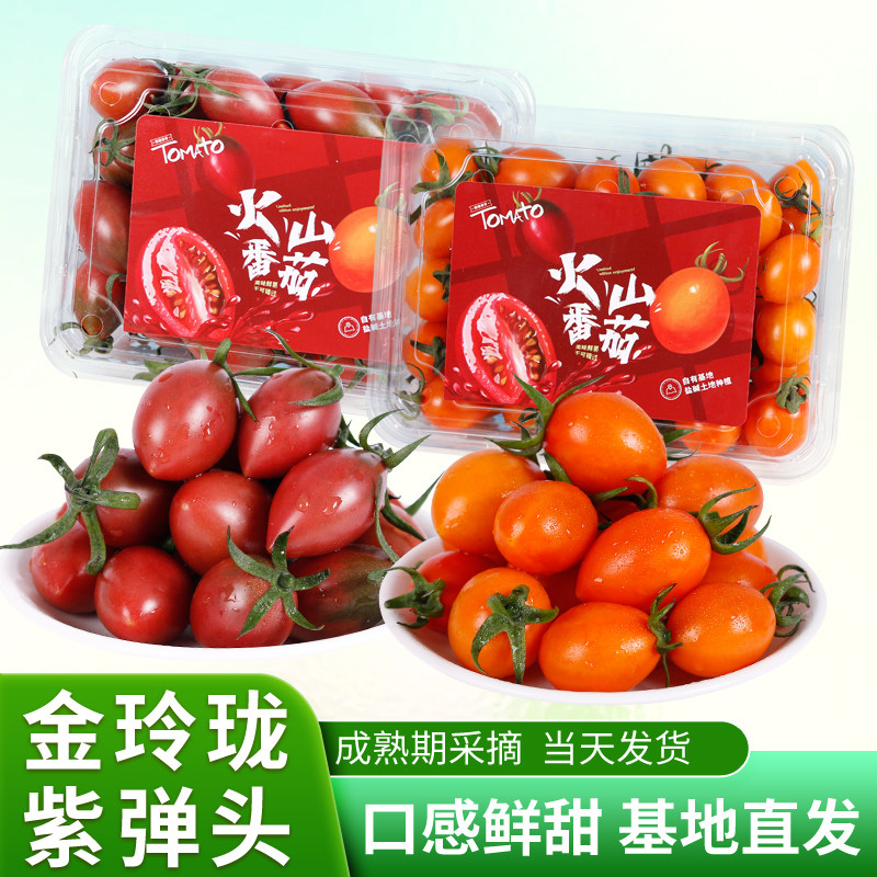 紫弹头金玲珑小番茄圣女果西红柿顺丰包邮孕妇儿童现摘水果礼盒装,淘宝优惠券,粉丝福利购,淘宝优惠卷