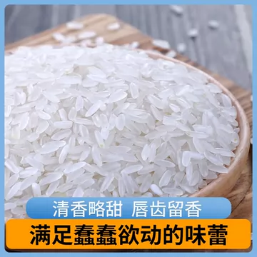 【东铁村】10斤！东北五常大米[4元优惠券]-寻折猪