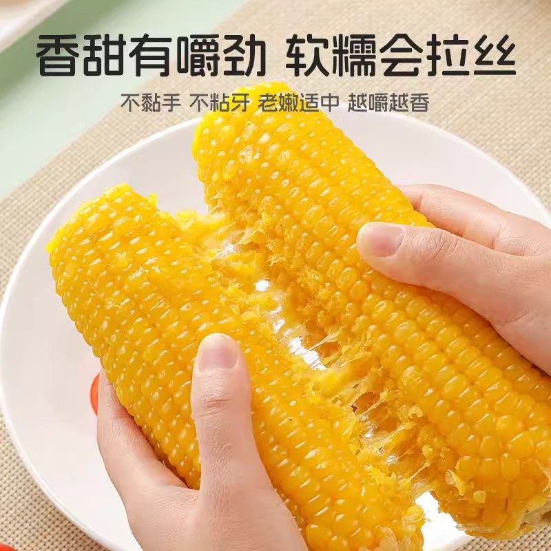 玉米24年新玉米真空包装正宗东北新鲜甜糯黄糯香甜早餐代餐零食,淘宝优惠券,粉丝福利购,淘宝优惠卷
