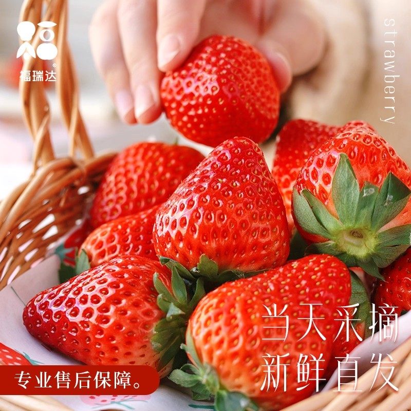草莓新鲜水果礼盒5斤孕妇红颜奶油九九大99牛奶草莓整箱3顺丰包邮,淘宝优惠券,粉丝福利购,淘宝优惠卷