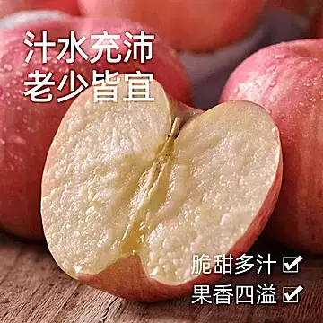 山西红富士苹果净重4.5斤[1元优惠券]-寻折猪
