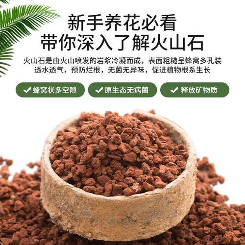 精筛天然火山石铺面兰花专用拌土火山岩颗粒高温灭菌多肉专用土 - 图2