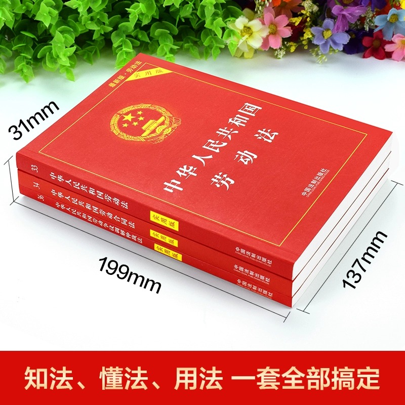 【任选29册】法律书籍全套正版 中国法制出版社实用版 中华人民共和国民法典刑法宪法劳动合同法行政民事诉讼法公司法未成年保护法 - 图1