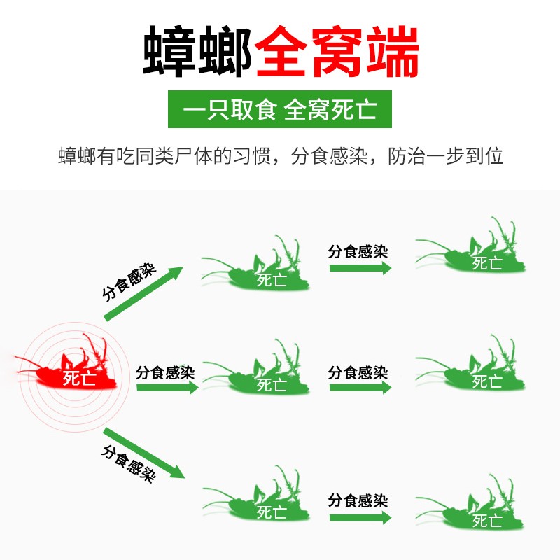 蟑螂餐厅专用饭店粉一蟑螂药非无毒家用全窝端正品旗舰店孕妇婴儿 - 图2