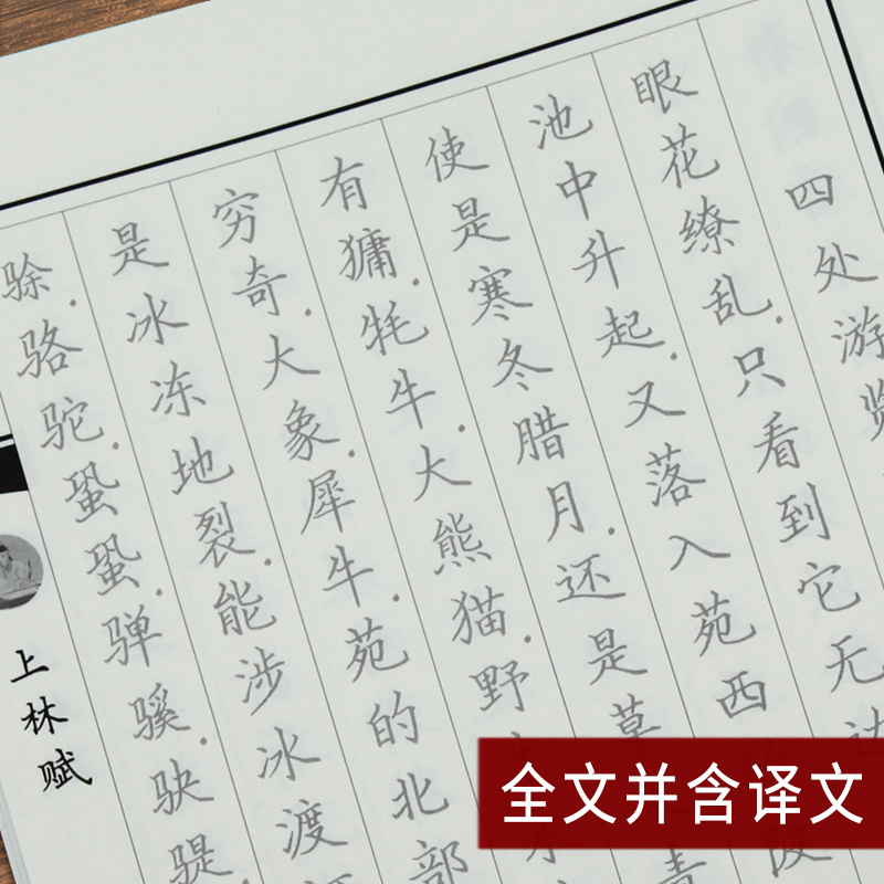 上林赋硬笔字帖司马相如全篇练字成人楷书正楷练字帖大学生男生字体女生大气初学者钢笔书法描摹练字本练习贴临摹楷体书写-图2