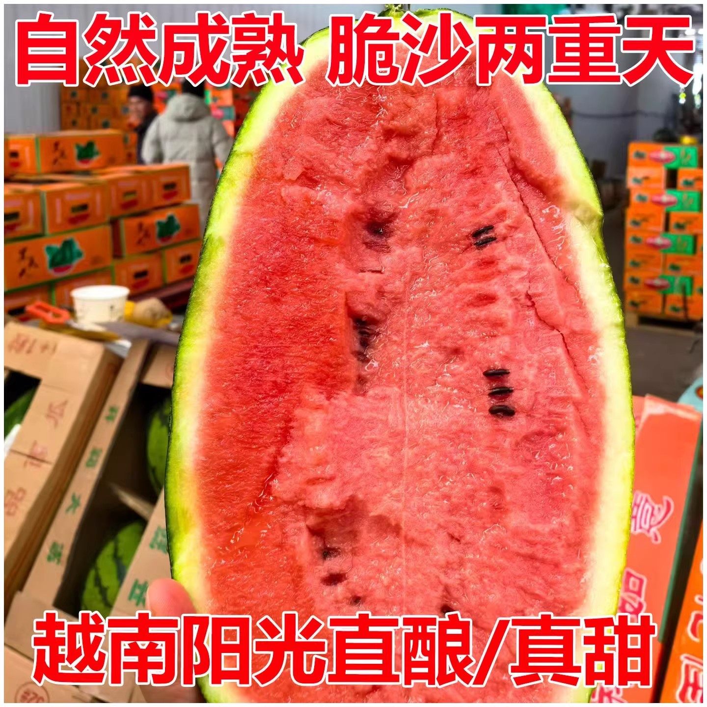 越南进口西瓜薄皮包沙包甜当季新鲜热带水果大西瓜整箱批发包邮,淘宝优惠券,粉丝福利购,淘宝优惠卷