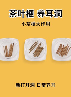 茶叶梗耳棒养耳洞红茶消炎耳棒防过敏隐形耳钉睡觉免摘防堵针茶枝