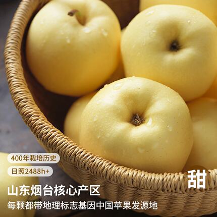 黄金奶油富士苹果9斤新鲜水果山东烟台白色牛奶脆甜平果整箱包邮