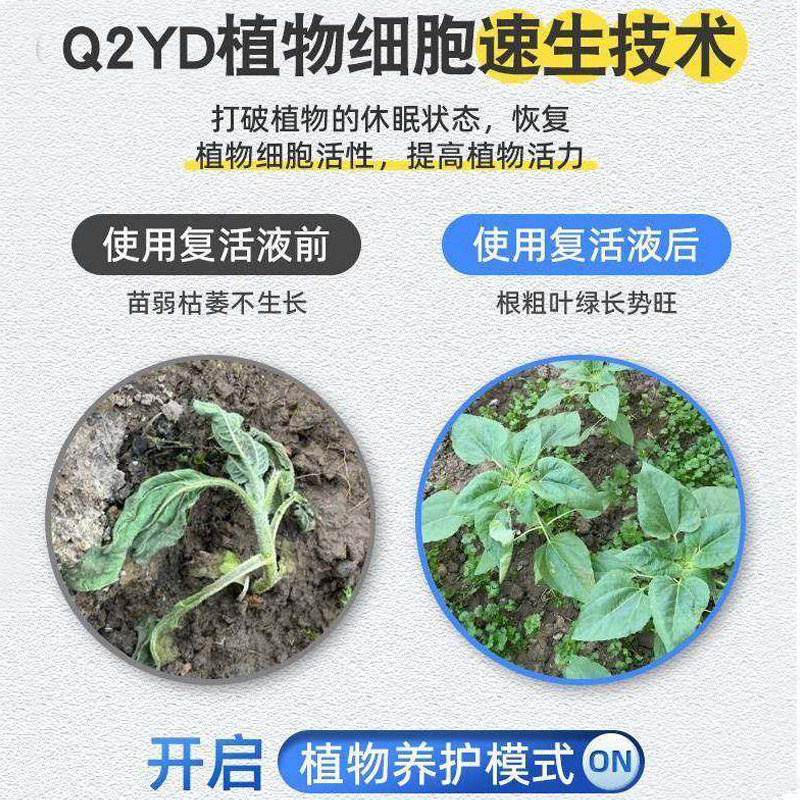 养花救花神器植物复活液活力素恢复植物活力黄叶掉叶花卉绿植肥料,淘宝优惠券,粉丝福利购,淘宝优惠卷