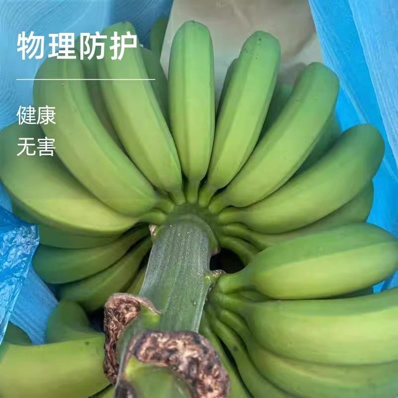 云南高山绿皮甜香蕉自然熟青皮威廉斯山野芭焦新鲜水果整箱,淘宝优惠券,粉丝福利购,淘宝优惠卷