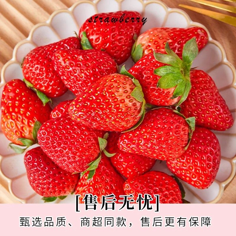 红颜草莓99奶油草莓新鲜当季孕妇水果整箱九九顺丰包邮大草莓回购,淘宝优惠券,粉丝福利购,淘宝优惠卷
