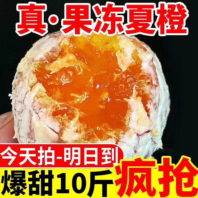 超级低价现在夏橙湖北秭归冰糖橙新鲜应季水果薄皮小橙子脐橙大果 - 图2