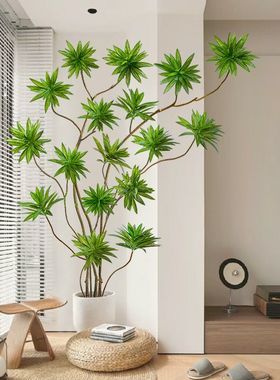 仿真绿植高端轻奢百合竹大型造景盆栽摆件客厅室内装饰落地假植物