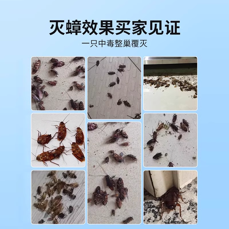 蟑螂药家用神器一窝正品专用饭店非无毒餐厅端杀蟑胶饵剂灭蟑螂 - 图1