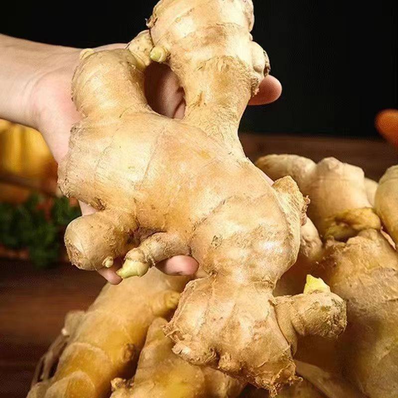 山东老姜农家自种5斤带泥新鲜新姜鲜生姜大黄姜姜生姜包邮,淘宝优惠券,粉丝福利购,淘宝优惠卷