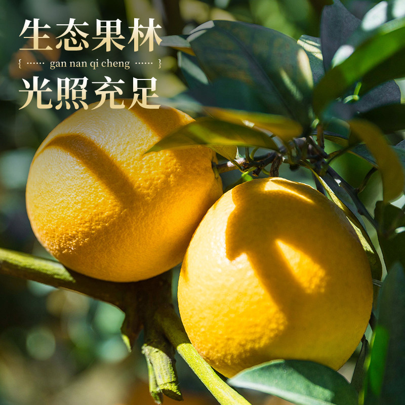 江西赣南脐橙10斤大果当季赣州新鲜水果橙子整箱批发送礼年货节,淘宝优惠券,粉丝福利购,淘宝优惠卷