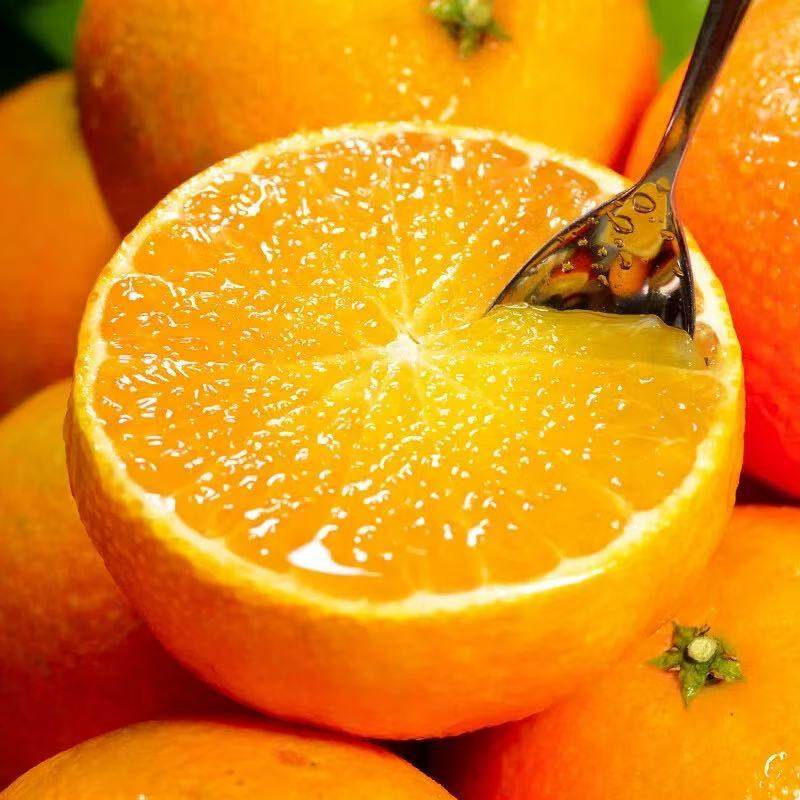 四川眉山爱媛38号果冻橙产地直发新鲜采摘皮薄多汁儿童孕妇应季橙