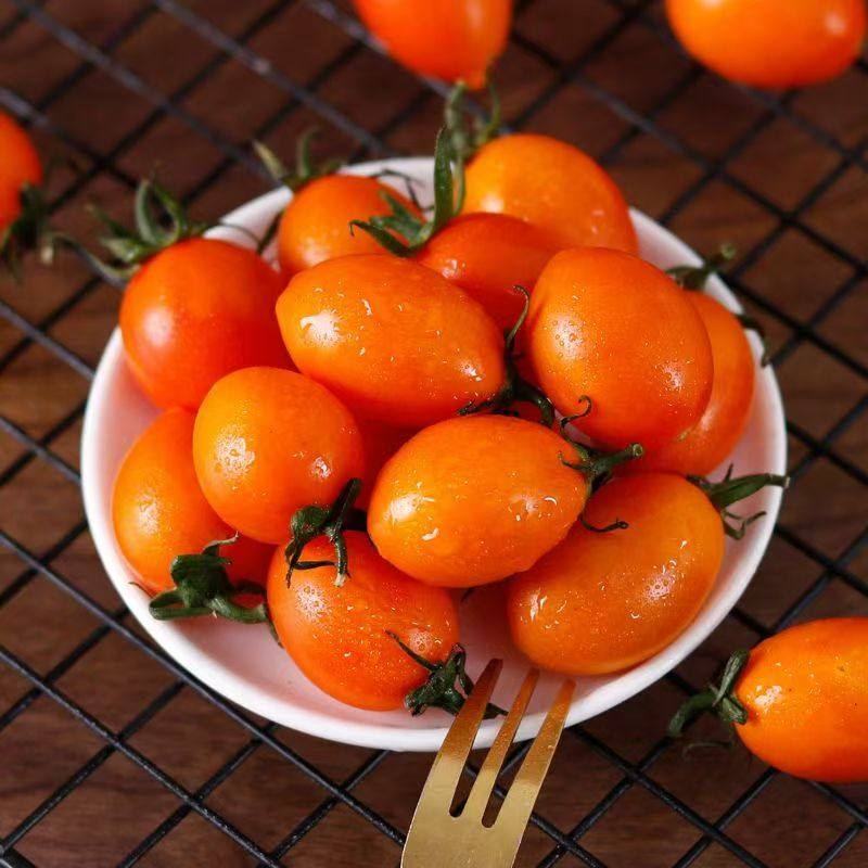 福建正宗紫弹子弹头小番茄西红柿漳州当季孕妇水果蔬菜沙拉圣女果,淘宝优惠券,粉丝福利购,淘宝优惠卷