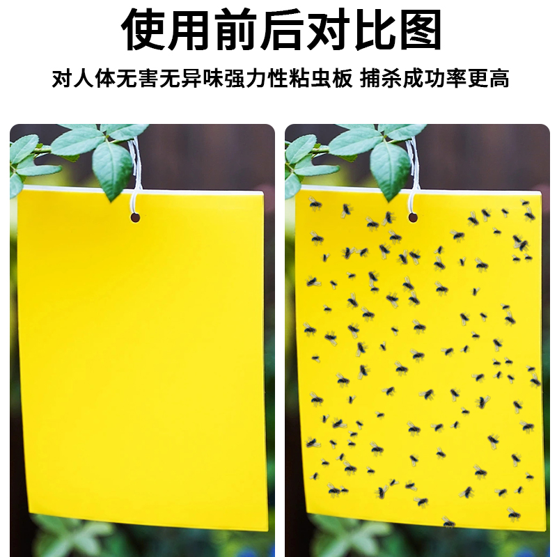 粘虫板大棚专用黄板双面小黑飞果蝇诱捕器诱虫板贴纸农用家用花园 - 图0