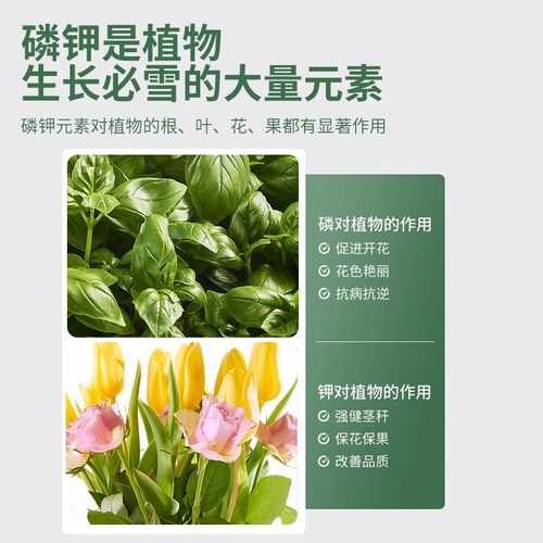 磷酸二氢钾磷钾肥肥料花卉专用正品农用养水溶叶面肥蔬菜植物元素 - 图0