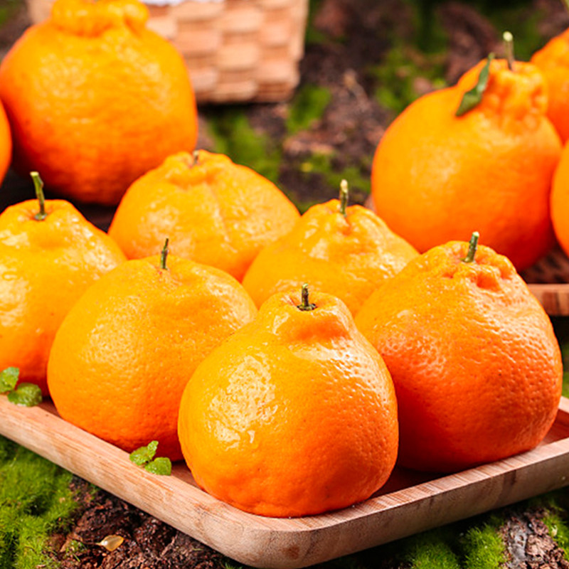 正宗四川春见耙耙柑粑粑柑新鲜水果当季整箱丑八怪杷杷柑桔年货节,淘宝优惠券,粉丝福利购,淘宝优惠卷