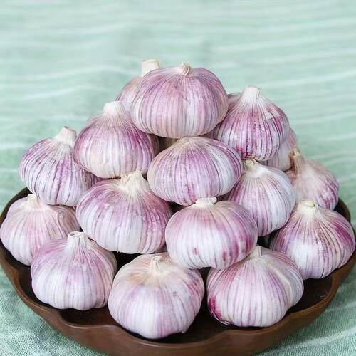 山东金乡原产地直发大蒜当季大蒜头干货炒菜调味辛辣味浓郁 - 图2