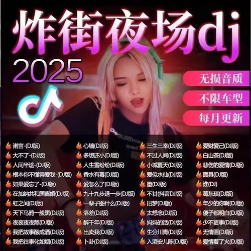 2025新款车载u盘音乐抖音流行歌曲经典dj新歌中文热门舞曲MP4优盘 - 图0