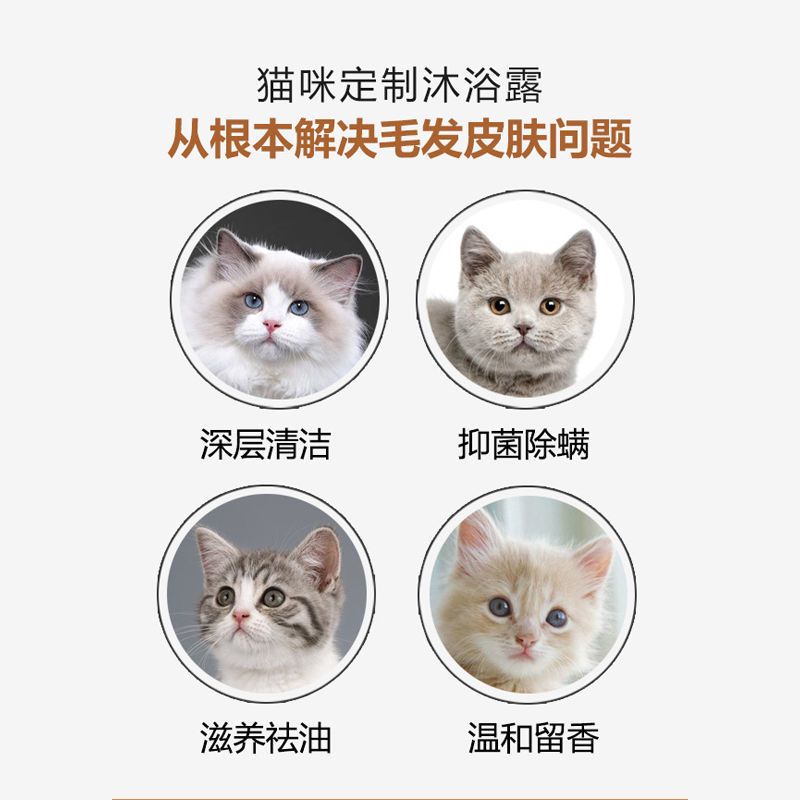 猫咪专用沐浴露猫猫用沐浴液洗澡抑菌除螨幼猫沐浴乳香波宠物用品-图2