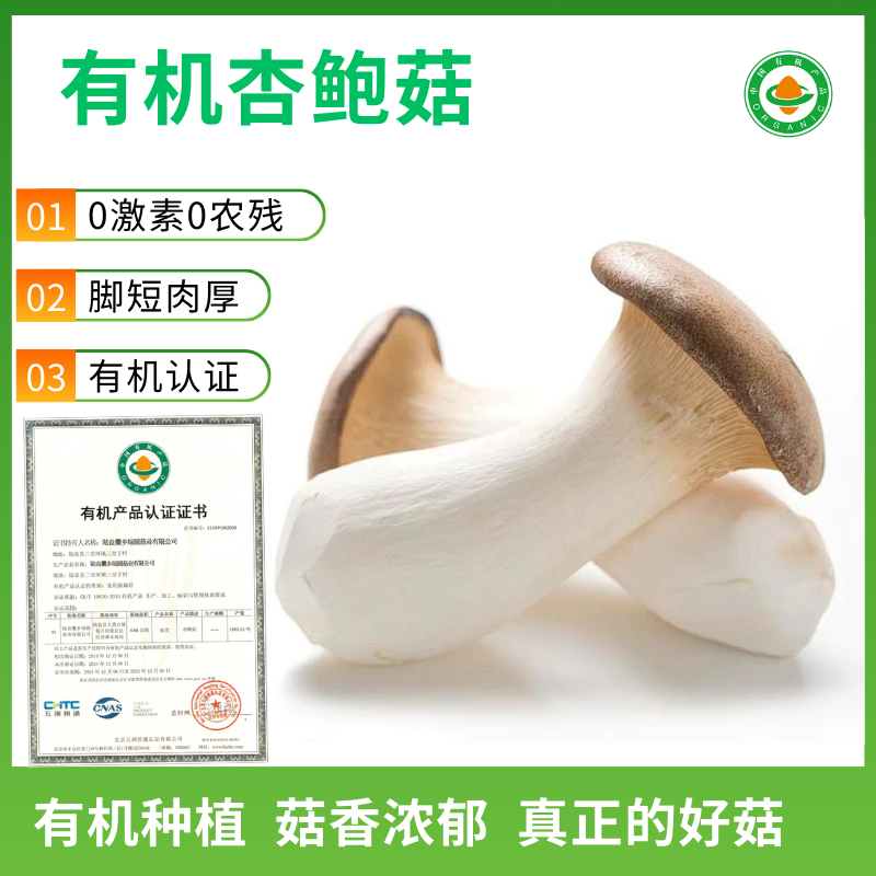 【有机蔬菜】新鲜大粒杏鲍菇鸡腿菇烧烤火锅食材蘸酱菜云南新鲜菜,淘宝优惠券,粉丝福利购,淘宝优惠卷