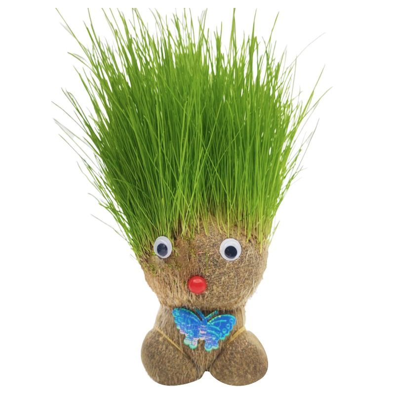 长草娃娃草头娃娃头上长草草娃娃儿童种植小盆栽猫草绿植水培植物 - 图3