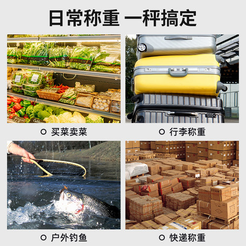 龙蓓迷你电子秤手提50kg便携式高精度家用快递称小秤弹簧小型手拿 - 图0