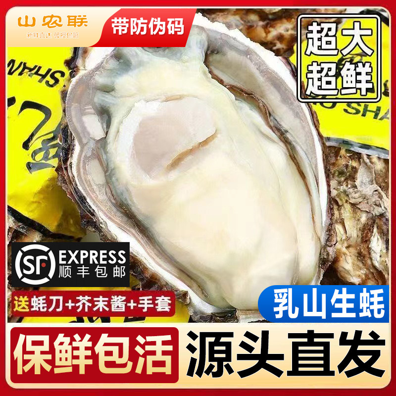 正宗乳山生蚝产地直发带防伪码现货生蚝5斤装海蛎子牡蛎包活,淘宝优惠券,粉丝福利购,淘宝优惠卷