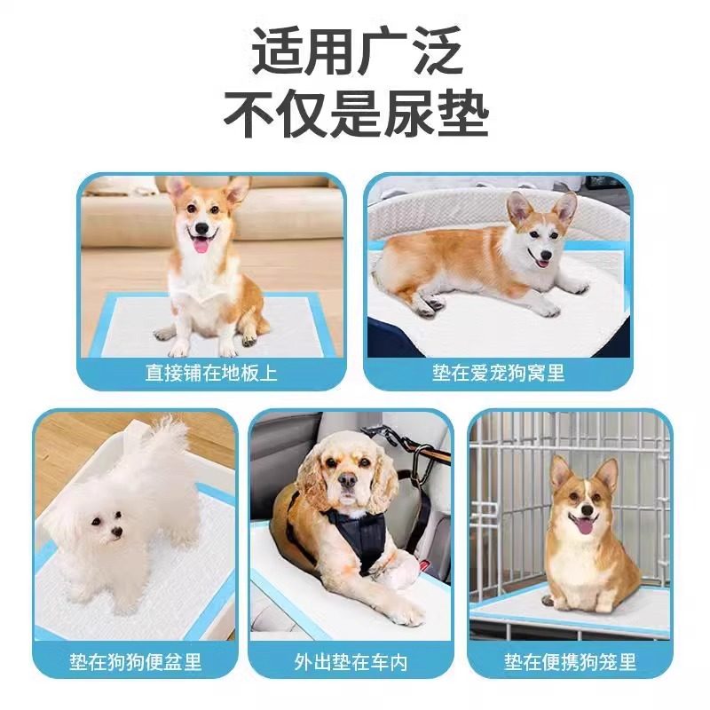 狗尿片布宠物尿垫狗狗吸水垫卫生垫尿不湿猫用除臭加厚隔幼犬引导,淘宝优惠券,粉丝福利购,淘宝优惠卷