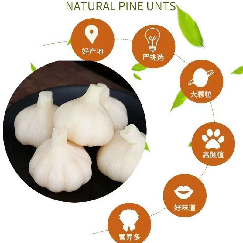 山东糖醋蒜甜蒜头泡蒜头腌制新鲜大蒜下饭菜速食开味酱菜咸菜批发,淘宝优惠券,粉丝福利购,淘宝优惠卷