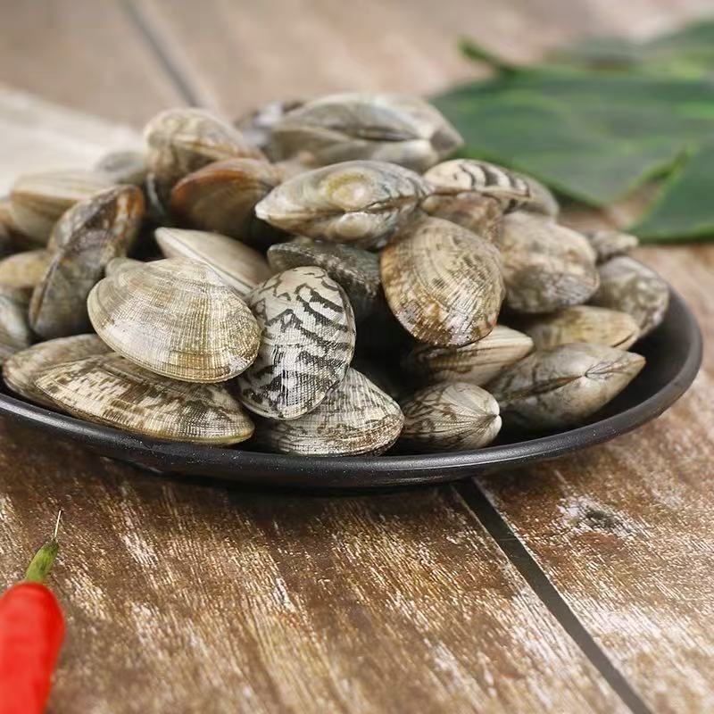 Seafood fresh sand scallops fresh flower clams variegated clams wild shellfish scallops wholesale tinfoil