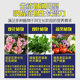 Ferrous sulfate flower fertilizer, acid loving gardenia, tea, rhododendron, osmanthus, water-soluble fertilizer, household fertilizer, nutrient soil