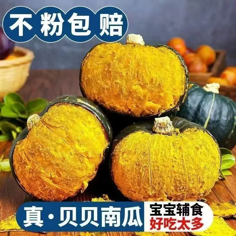 贝贝南瓜新鲜正宗板栗味小南瓜栗面日本老瓜婴儿孕妇粉糯辅食香甜