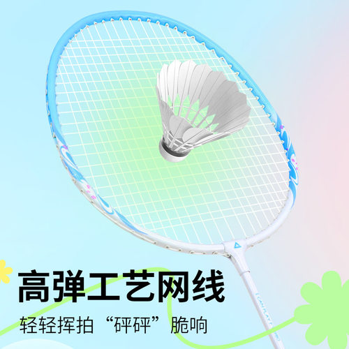 PEAK/匹克羽毛球拍专业级单双拍套装超轻初学者成人专业耐打训练 - 图0