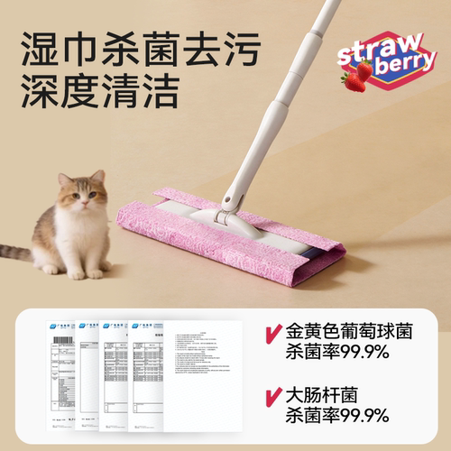 静电除尘纸拖把拖布湿纸巾擦地纸家用一次性吸尘地板拖地湿巾柜子 - 图2