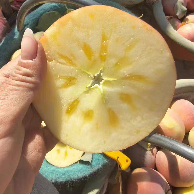 新疆阿克苏冰糖心苹果新鲜水果应当季丑苹果红富士脆甜整箱包邮10