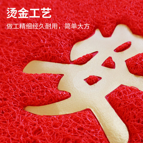入户门地垫进门大门口出入平安门垫2025新款丝圈脚垫门外地毯防滑 - 图0