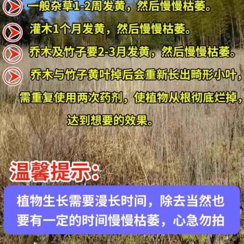 烂根药强力毒树根灭树粉死枯树必腐蚀死亡枯死除杀专用树王剂大树-图2