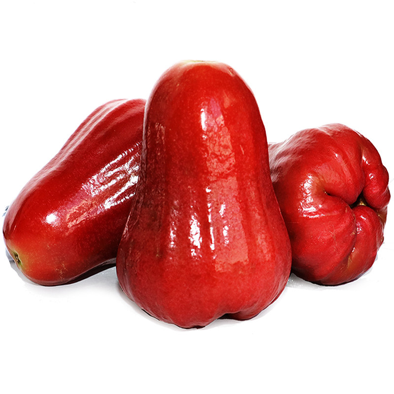 海南黑金刚莲雾中小果热带新鲜水果正宗宝石雾莲脆甜净重包邮当季,淘宝优惠券,粉丝福利购,淘宝优惠卷