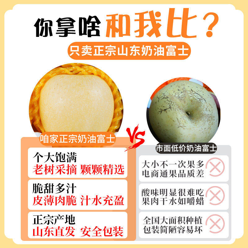 山东烟台黄金奶油富士苹果当季正宗奶油苹果9整箱包邮时令斤鲜果