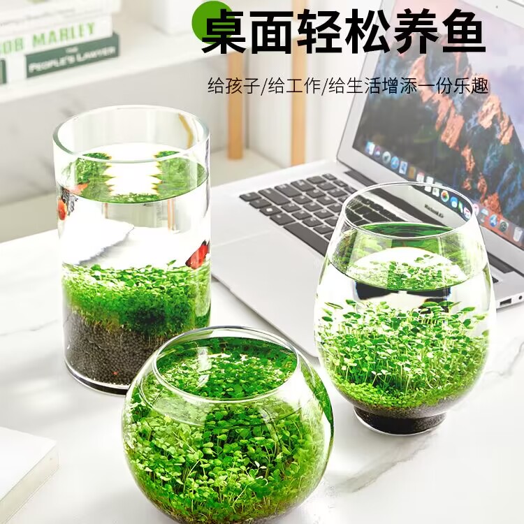 水草泥鱼缸专用生态陶粒砂底砂造景沙净水免洗水藻泥种植土养鱼-图0